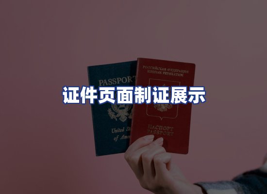 证件页面制证展示